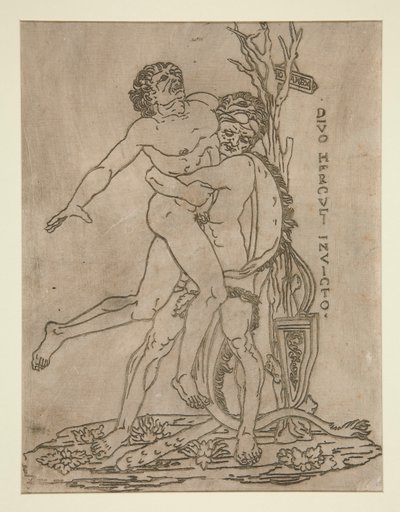 Herkules és Antaeus alkotó: Unknown