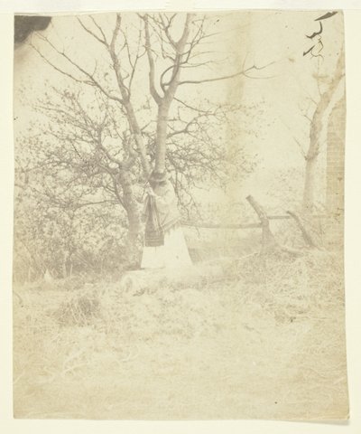 Mrs. Craik alkotó: Unknown