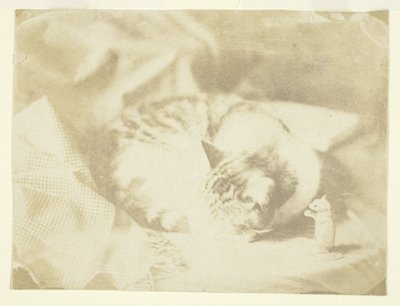 Mrs. Craik macskája alkotó: Unknown