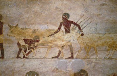 Felvonulás szarvasmarhákkal és gazellákkal, részlet egy sír falfestményéből, egyiptomi, ó-középbirodalom (festett mészkő) alkotó: Unknown