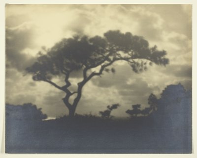 Untitled (Felhős táj fával) alkotó: Unknown