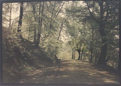 Névtelen alkotó: Unknown
