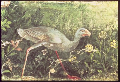 Falfestmény egy szultán csirke a kertben, Pompeii, 1. században alkotó: Unknown