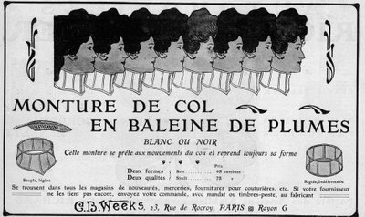 1904-ben a C B Weeks Feather Whale Neck Mount hirdetése alkotó: Unknown artist