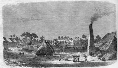 Cukorkagyár Kuba szigetén 1869-ben. alkotó: Unknown artist
