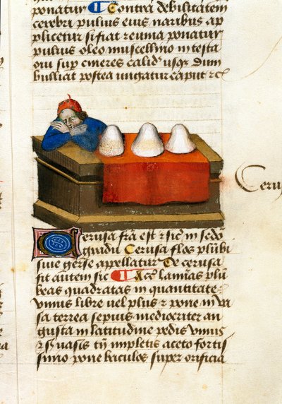 Szarvaskereskedő, kozmetikai felhasználások Gyógynövények leírása és elkészítési módja. Pedanius Dioscorides (Dioscorides) (i.sz. 40-90) kéziratos oldal: „Füszernövények finomságai”” (Tractatus de herbis) alkotó: Unknown artist