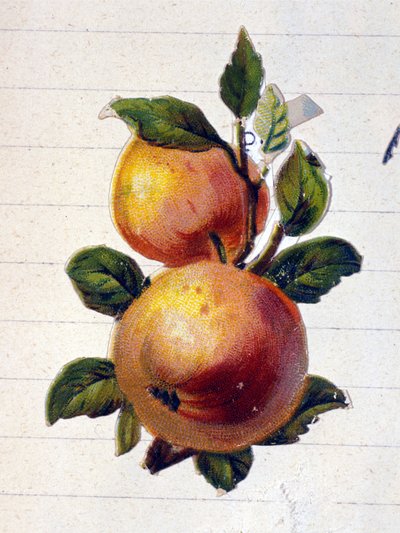 Barack alkotó: Unknown artist
