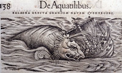 A bálna tönkreteszi a hajó testét és elsüllyed. Conrad Gesner (1516-1565), Tiguri Historia Animalium metszete alkotó: Unknown artist