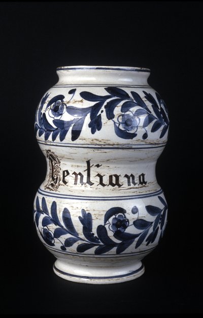 Albarelle: egykori 16. századi gyógyszertári váza tárnicssal. Tudományos és Technológiai Múzeum, Milánó. alkotó: Unknown artist