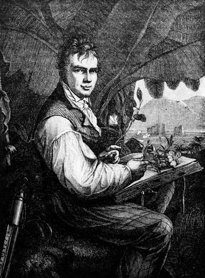 Alexander Von Humboldt (Alexander de Humboldt alkotó: Unknown artist