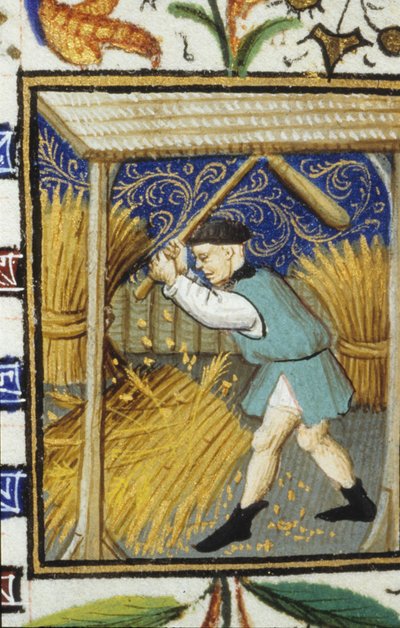 Augusztus allegorikus ábrázolása. Búzát verő paraszt. 14. századi kézirat miniatűrje. alkotó: Unknown artist