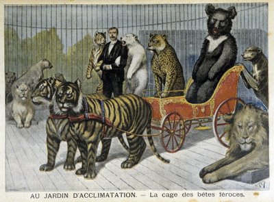 Az akklimatizáció kertjében: vadállatok ketrece - az 1895.02.06-i „” Le Petite Journal”-ban alkotó: Unknown artist