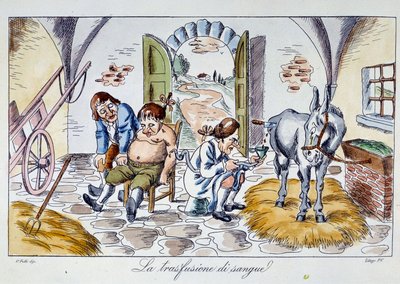 Vérátömlesztés Az orvos lóvért fecskendez a betegbe. Rajzfilm a 19. századi magángyűjteményből alkotó: Unknown artist