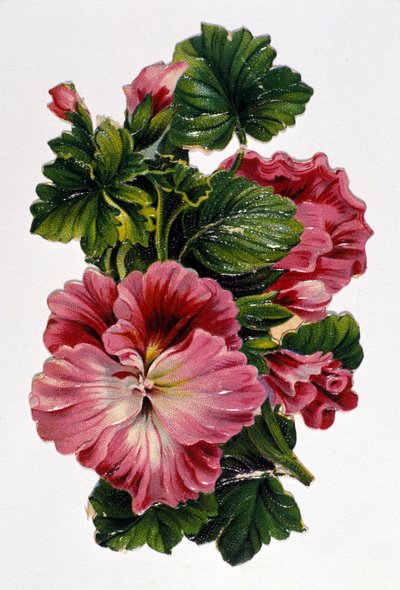 Csokor virág. 19. századi kromolitográfia. alkotó: Unknown artist