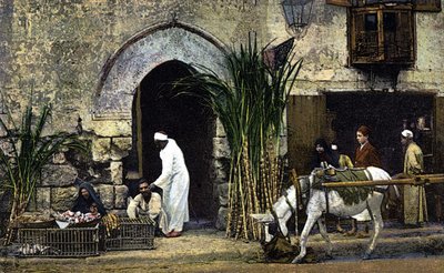 Nádcukor-értékesítők. Kairó. Egyiptom. Képeslap a 20. század elejéről. alkotó: Unknown Artist