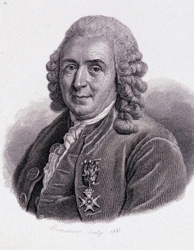 Carl Von Linné svéd természettudós és író (1707 - 1778) - „Hasznos férfiak portréja” alkotó: Unknown artist