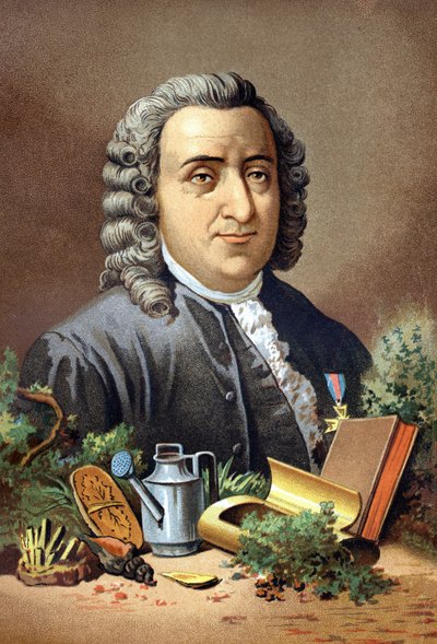 Carl Von Linné svéd természettudós és író (1707-1778) Louis Figuier „Tudomány és emberei” nyomán. Barcelona 1881 alkotó: Unknown artist