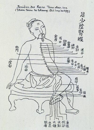 Kínai akupunktúra: a vesék meridiánja alkotó: Unknown artist