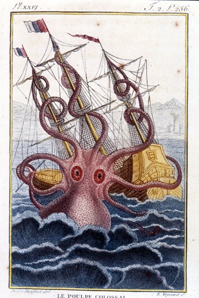 Kolosszális polip (polip, óriás tintahal, kraken) megtámad egy hajót (hajót, hajót) - Pierre Denys-Montfort (Denys de Montfort 1766-1820) „” Histoire naturelle des mollusques” című könyvének metszetei, eredeti kiadás, 1802) - alkotó: Unknown artist