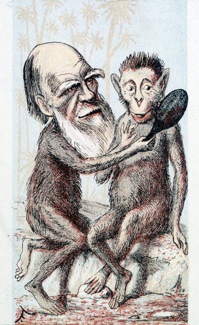 Darwin elméletére támaszkodó vígjáték – a „Londoni vázlatfüzetben” alkotó: Unknown artist