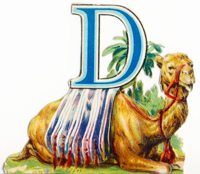 D: Dromedár alkotó: Unknown artist