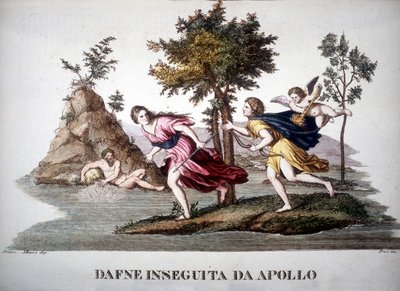 Daphnét Apollon üldözte – a mitológiai szótárban alkotó: Unknown artist