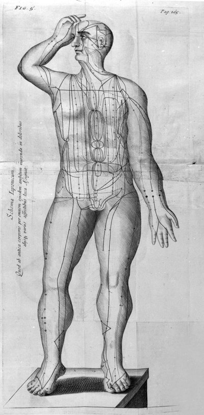De Acupunctura, W.Ten Rhijn. London 1683. Az akupunktúrával foglalkozó első nyugati szöveg. alkotó: Unknown artist
