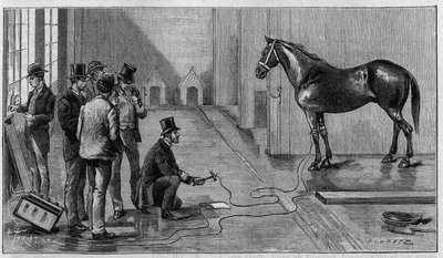 Electricite által okozott halál: egy ló megöl az elektrolit által az Edison, Orange (Egyesült Államok) laboratóriumában végzett kísérlet során. Metszet az 1889. január 19-i „” La Nature: revue des sciences et de leurs applications aux arts et a l