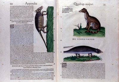 A Historia Animalium dupla oldala, Conrad Gesner (1516-1565), Tiguri alkotó: Unknown artist