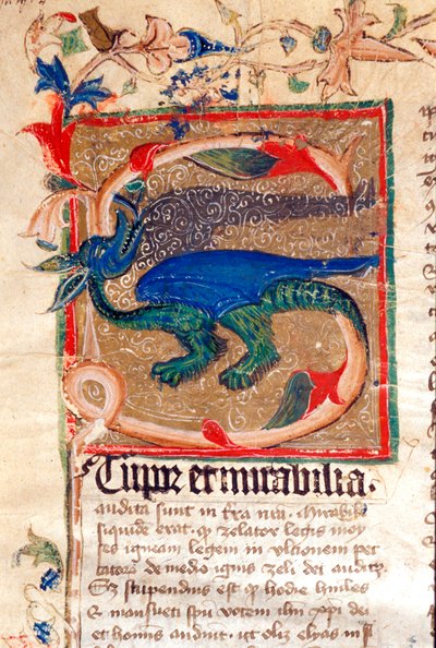 Dragon Decoree Lettrine 14. századi kézirat részlete alkotó: Unknown artist