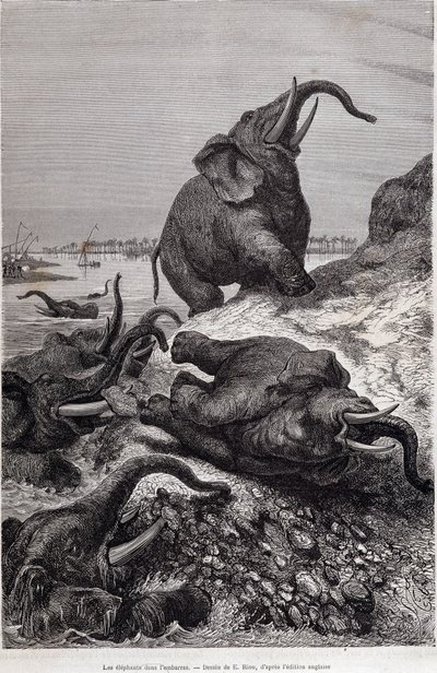 Elefántok másznak a folyó partjára Sir Samuel White Baker megbízásából Közép-Afrikába tartó expedíció (Tour du monde) miatt alkotó: Unknown artist