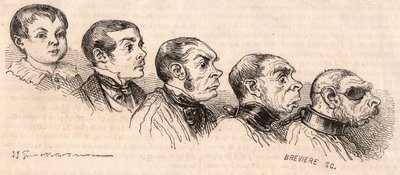 A gyermek evolúciója a felnőttkorba és a felnőtt vadállattá degenerálása alkotó: Unknown