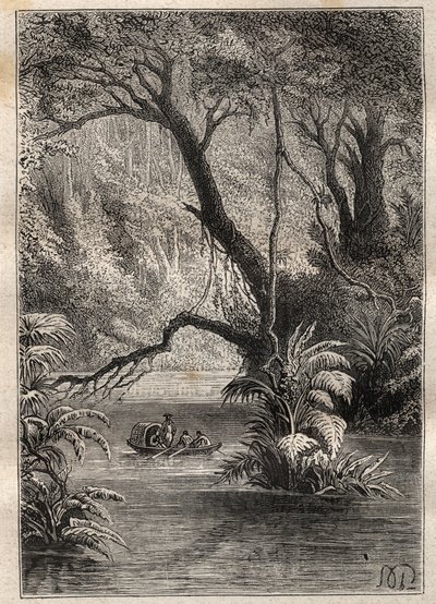 Alexander von Humboldt (1769-1859) és Aime Bonpland (1773-1858) amerikai expedíciója (1799-1804): a felfedezők leereszkednek az Orenoque-ba, az Amazonas-erdő gigantikus fáitól körülvéve (Cano Pimichin, Venezuela) - illusztráció készült a „The Great alkotó: Unknown artist