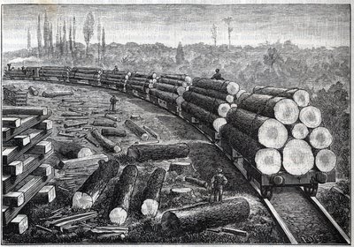 Az Egyesült Államok erdőinek kiaknázása. Ideiglenes vasutak fa pályával. Fatörzseket szállító kocsik. Metszet a "" La Nature"-be alkotó: Unknown artist