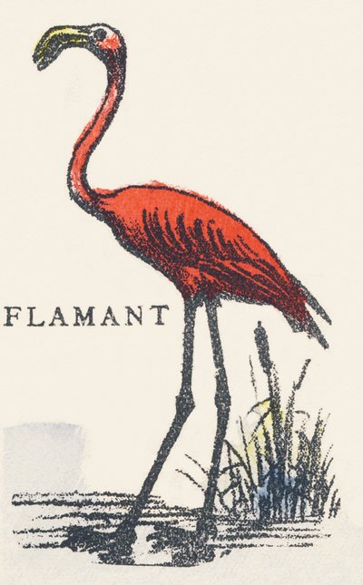 F: flamingó alkotó: Unknown artist