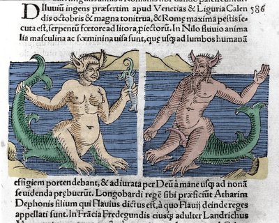 Fantasztikus lények: egy gőte és egy sziréna a Nílusban. Metszet Wolfhart (Conrad Lycosthene) "Le livre des prodiges"-ből (A tékozló gyermekek krónikája és a Basileae jelképei) 1557-ből alkotó: Unknown artist