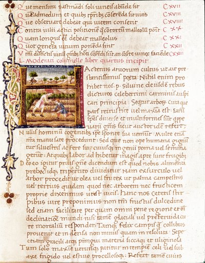 Szőlőültetvényeket telepítő gazdák (miniatűr alkotó: Unknown artist