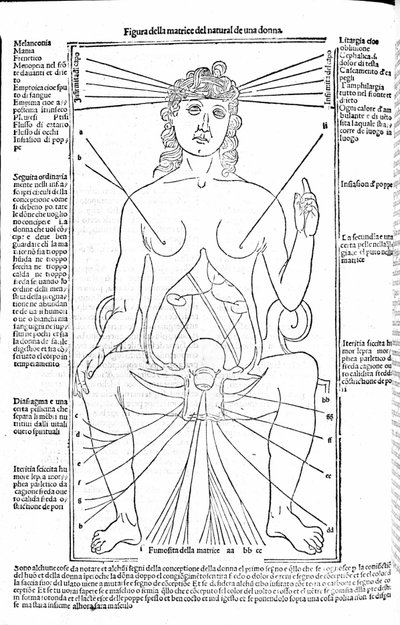 Női reproduktív apparátus – Gerolamo Cardano (Cardano) (Cardanus Hieronymus) orvostudományi traktátusában, Firenze 1585. alkotó: Unknown artist