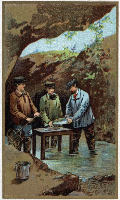 Haltenyésztés: mesterséges fektetés. Kromolitográfia a 19. század végéről alkotó: Unknown artist