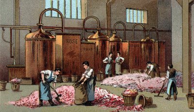 Virágpárlat a Flowers benzin és víz előállításához. A 19. század végének kromolitográfiája alkotó: Unknown artist
