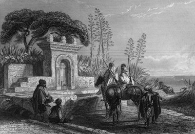 Szökőkút Algír közelében alkotó: Unknown artist