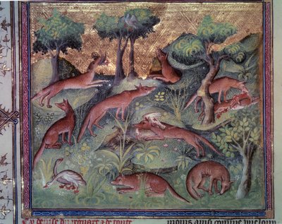 Rókavadász baromfi. Miniatűr Gaston Phoebus (1331-1391) „Le livre de la chasse” (fólió 34v) kéziratából, Gaston III Comte De Foix alkotó: Unknown artist