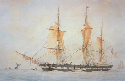 Francia bálnavadászhajó, 1845 körül (színes litho) alkotó: Unknown artist