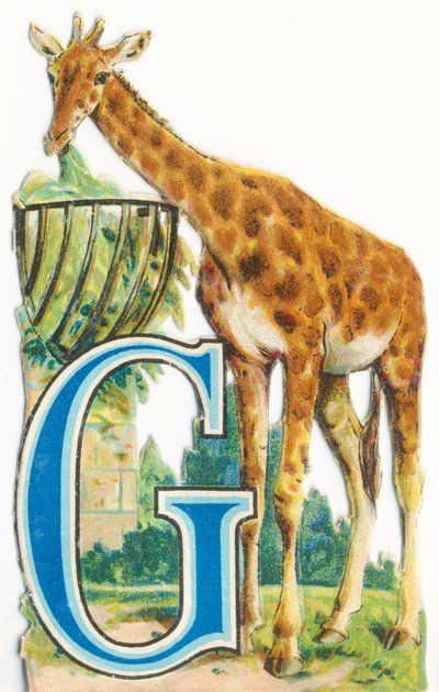 G: Zsiráf alkotó: Unknown artist