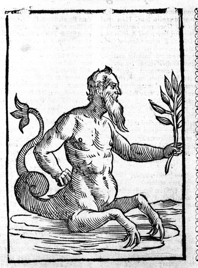 Glaukók a varázsfűvel, amely lehetővé teszi számára, hogy a tengerben éljen – in Mythologiae sive magyarázata fablerum de Natalis Comitis. Patavia alkotó: Unknown artist