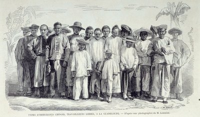 A francia gyarmatok története: Guadeloupe-ban dolgozó kínai bevándorlók. Rajzok fénykép után a 19. század végi Chartres-i musee des Beaux Arts-ról alkotó: Unknown artist