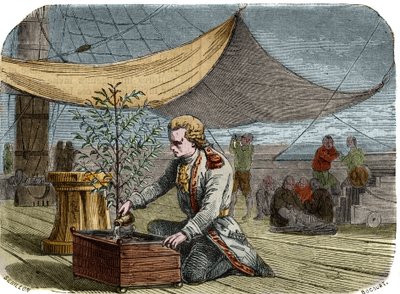 A kávézó története: Gabriel de Clieu kapitány (Declieux, Desclieux) (1687/1678-1774 körül), akit 1725-ben XIV. Lajos király kapott megbízással Martinique-ra egy kávéfőző üzem (kávéfőző) visszahozásával, megosztja vele a vízadagját. hogy megmentse a kiszára alkotó: Unknown artist