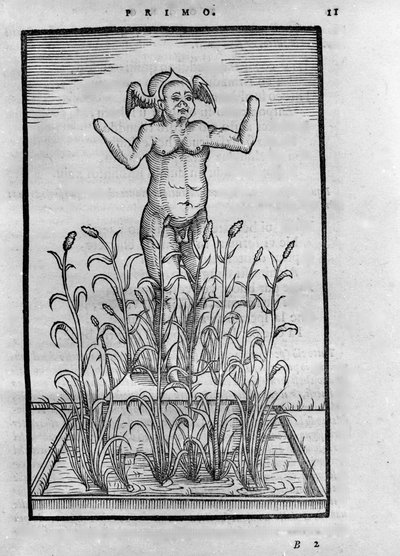 Homme sans bras - Giovanni Battista Nazari "The Transmutatione Metallica Sogni Tre" című művében, 1599-ben Bresciában szerkesztette alkotó: Unknown artist