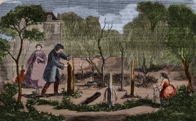 Kertészet: a növényátültetés főbb módszerei. 1860-as metszet. alkotó: Unknown artist