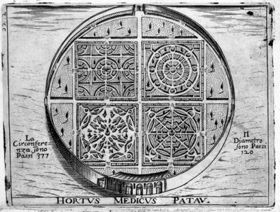 Páduai kert: Páduai Orvosi Kert. alkotó: Unknown artist